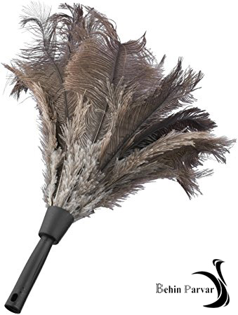 پر و پرکنی در شترمرغ