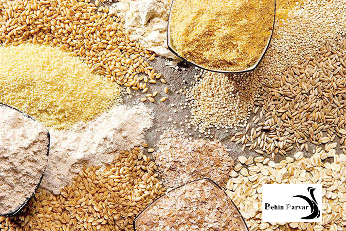 تغذیه با جیره غیر استاندارد چه مشکلاتی به وجود می‌آورد؟