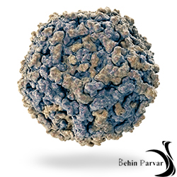 کوچک اما قدرتمند: پاروویروس در شترمرغ